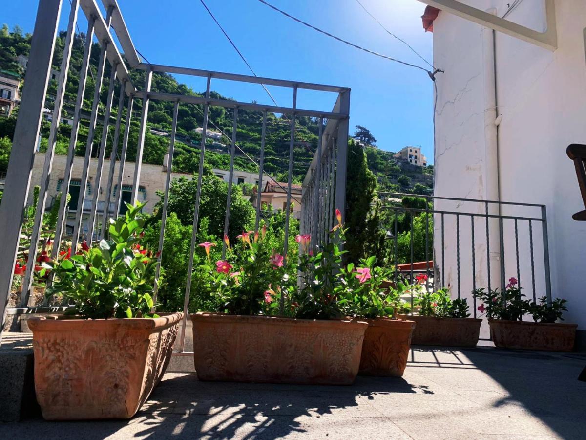 L'Albero Della Vita Minori Exterior foto